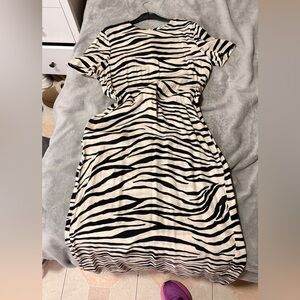Zara Black & Cream Zebra Print Mini Dress
